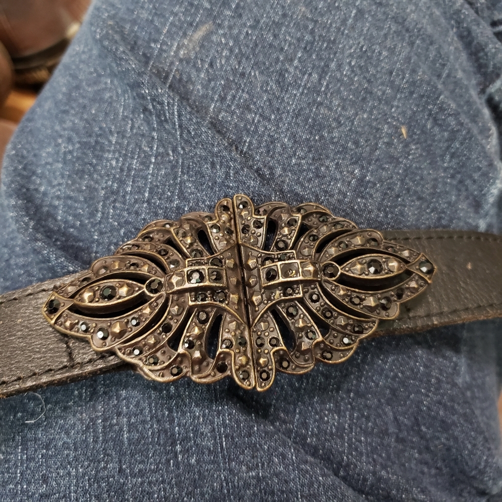 Fossil belt